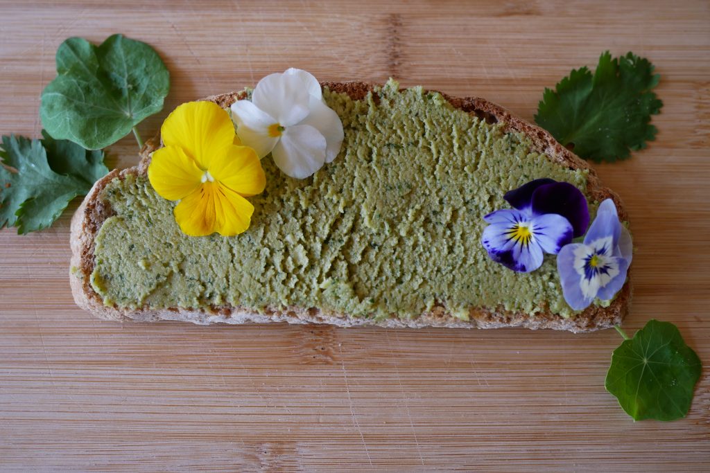 houmous à la coriandre et au piment d’Espelette 